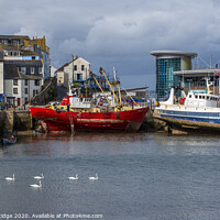 Buy canvas prints of Swan Flotilla, Brixham Harbour by Paul F Prestidge