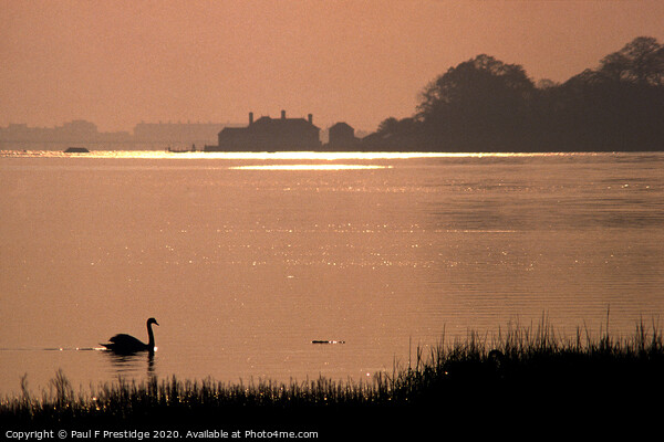 The Teign Estuary at Daybreak  Picture Board by Paul F Prestidge