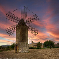 Buy canvas prints of A Malloran Windmill by Paul F Prestidge