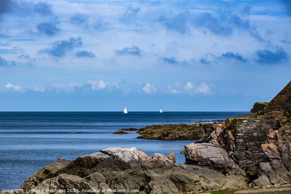 White Sails in Torbay Picture Board by Paul F Prestidge