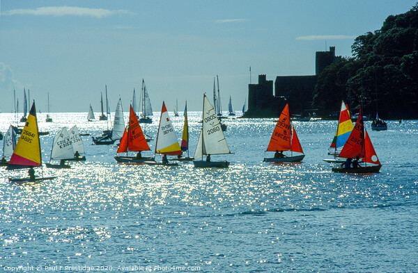 Dinghy racing at Dartmouth Picture Board by Paul F Prestidge
