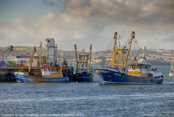 Brixham Trawlers in Port Picture Board by Paul F Prestidge