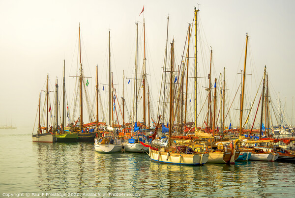 A Mass of Masts at Brixham Picture Board by Paul F Prestidge