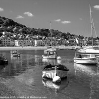 Buy canvas prints of Shaldon from Teignmouth Monochrome by Paul F Prestidge