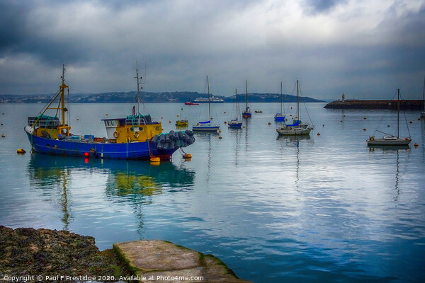 Brixham Outer Harbour Picture Board by Paul F Prestidge