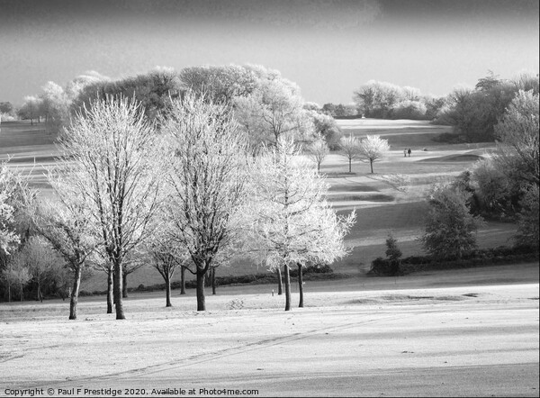 Hoar Frost on the Golf Course,  Monochrome Picture Board by Paul F Prestidge