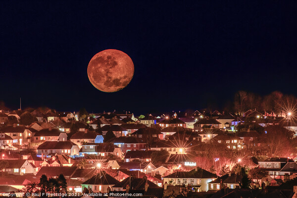 An Orange Moon at Brixham Picture Board by Paul F Prestidge