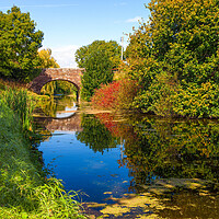 Buy canvas prints of The Grand Western Canal in Autumn by Paul F Prestidge