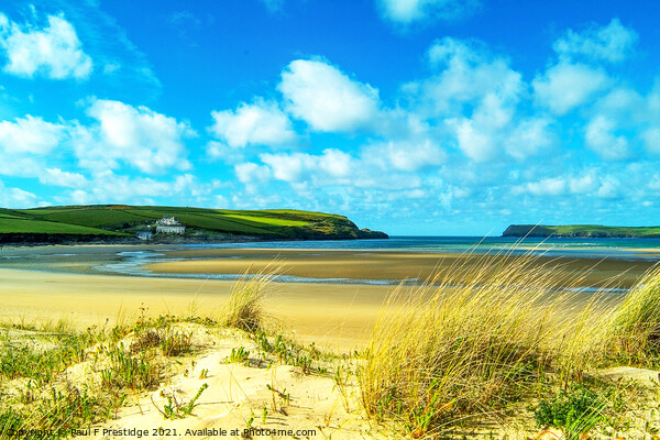 The Camel Estuary at Padstow Picture Board by Paul F Prestidge