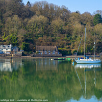 Buy canvas prints of On the Banks of the River Dart by Paul F Prestidge