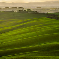 Buy canvas prints of Tuscany landscape by Marco Bicci