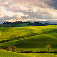 Buy canvas prints of Tuscany countryside by Marco Bicci