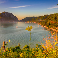 Buy canvas prints of Close up of a yellow flower with El Nido Town in b by Marco Bicci