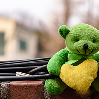 Buy canvas prints of Teddy bear leaning on a wall by Marco Bicci