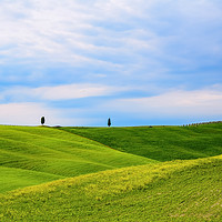 Buy canvas prints of Val d'Orcia landscape by Marco Bicci