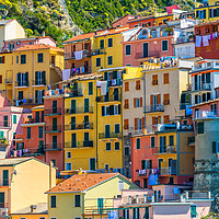 Buy canvas prints of Colorful buildings of Manarola by Marco Bicci