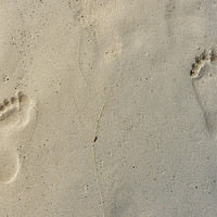 Buy canvas prints of Footprints in the sand by Marco Bicci