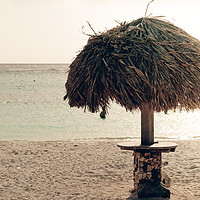 Buy canvas prints of A parasol in the idyllic Baby Beach, Aruba by Marco Bicci