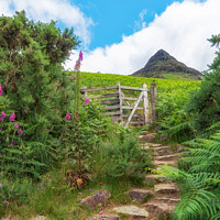 Buy canvas prints of Path to Yewbarrow Mountain summit in the English L by Alan Barr