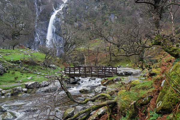 Bridge to Welsh Waterfall   Picture Board by Alan Barr