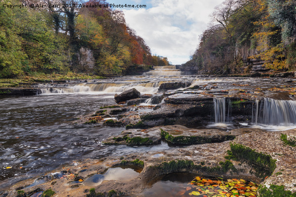 Lower Aysgarth Falls in the Yorkshire Dales  Picture Board by Alan Barr