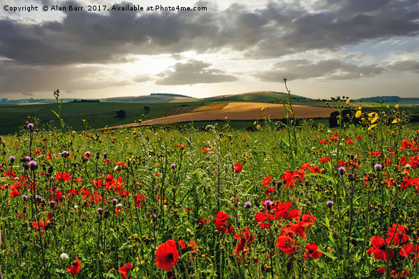 South Downs Sunrise Picture Board by Alan Barr