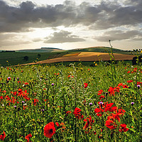 Buy canvas prints of South Downs Sunrise by Alan Barr