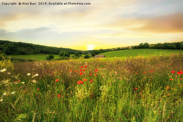 Evening on the South Downs Picture Board by Alan Barr