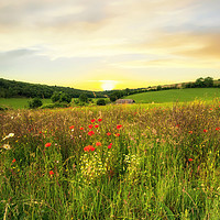 Buy canvas prints of Evening on the South Downs by Alan Barr