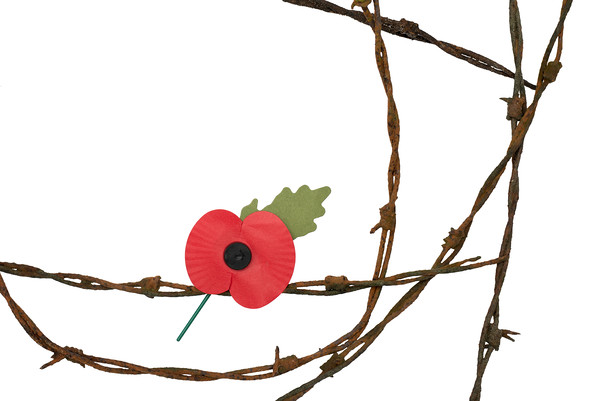 Remembrance Picture Board by Alan Barr