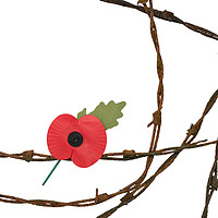 Buy canvas prints of Remembrance by Alan Barr