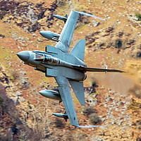 Buy canvas prints of RAF Tornado GR4 by Graham Morris