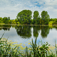 Buy canvas prints of Langford Lakes Nature Reserve, Salisbury, United Kingdom  by Michaela Gainey