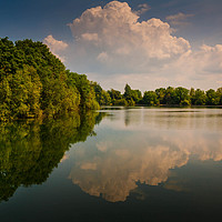 Buy canvas prints of Neigh Bridge Country Park, Cirencester, Wiltshire by Michaela Gainey