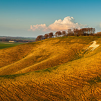 Buy canvas prints of Cherhill White Horse, Cherhill Down, Calne, UK by Michaela Gainey