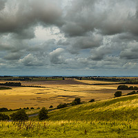 Buy canvas prints of Hackpen Hill, Marlborough Downs, Wiltshire, UK by Michaela Gainey