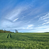 Buy canvas prints of Field of Barley by Darren Mark Walsh