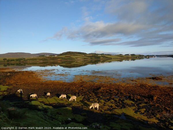 Morning at Loch Dunvegan Framed Print by Darren Mark Walsh