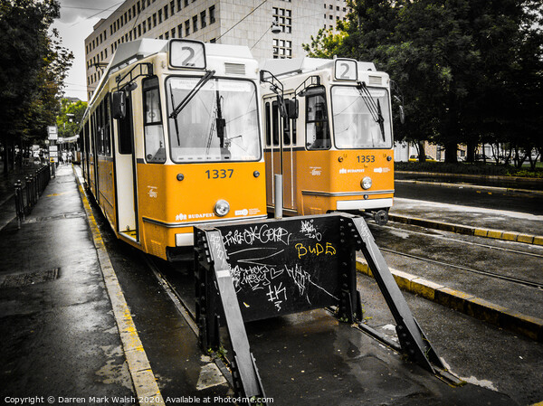 Two Trams  Picture Board by Darren Mark Walsh