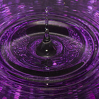 Buy canvas prints of Splash of Purple by Jennifer Higgs