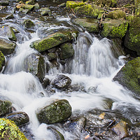 Buy canvas prints of Lumsdale Falls by Jennifer Higgs