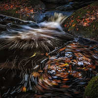 Buy canvas prints of Autumn leaves River Burbage by Nick Lukey