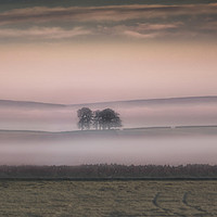 Buy canvas prints of Low lying mist at dawn in the peak district by Nick Lukey