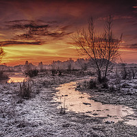 Buy canvas prints of Winter dawn flood meadow Staffordshire by Nick Lukey