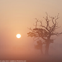 Buy canvas prints of sunrise on a misty morning swarkestone derbyshire by Nick Lukey