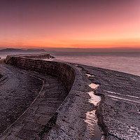 Buy canvas prints of Cobb Colours Square by sam COATSWORTH