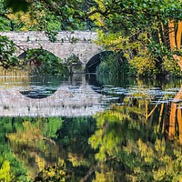 Buy canvas prints of Stour Bridge Summer reflections by sam COATSWORTH