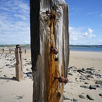 Buy canvas prints of Old Weathered Posts, Crow Point, Braunton Burrows, by Richard Brookes