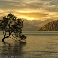 Buy canvas prints of Sunset over Lake Wanaka by Rufus Curnow