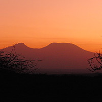 Buy canvas prints of Mount Kilimanjaro by miles walker
